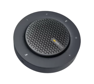 BG-SpeakP300-C-972_876